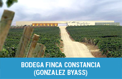 05 bodega finca constancia