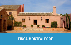 10 finca montealegre