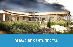 34 olivar de santa teresa