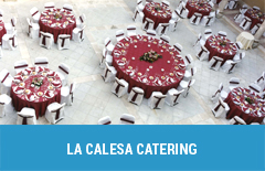 41 la calesa catering