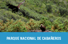 47 parque nacional de cabaneros