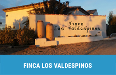 70 finca los valdespinos