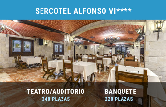 09 sercotel alfonso vi