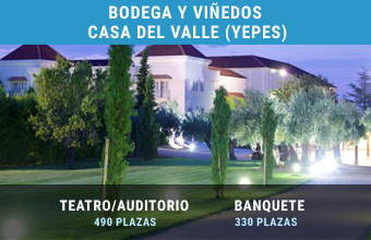 28 bodegas y viñedos casa del valle